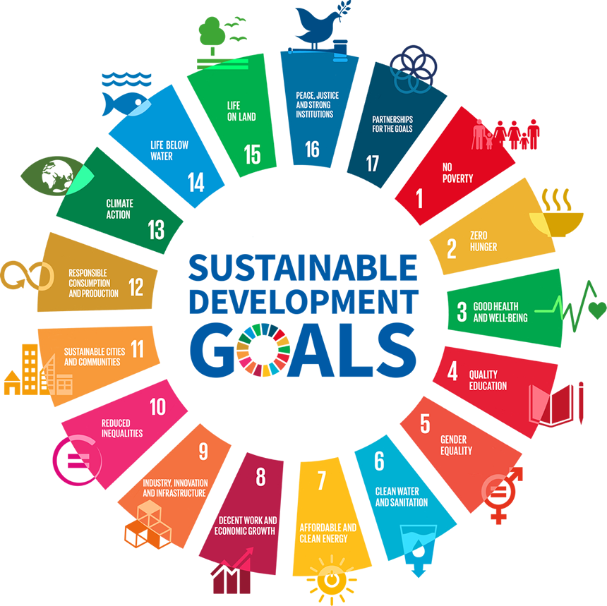SDG Wheel